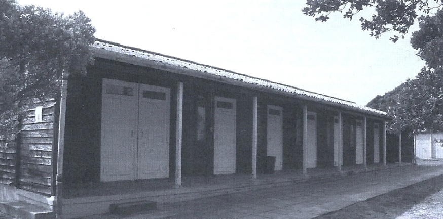 img1.jpg