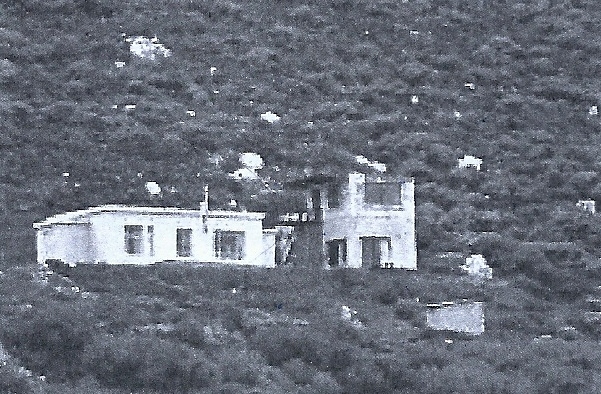 img4.jpg