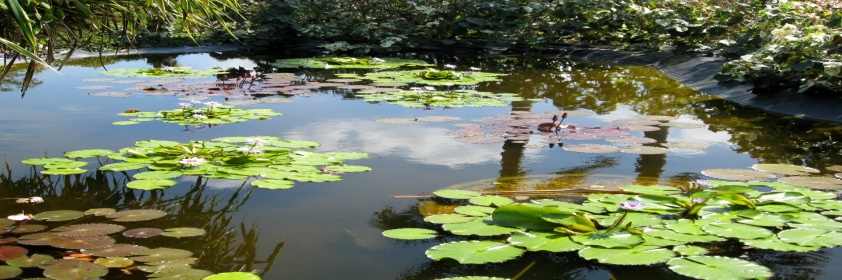 img30.jpg