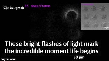 /book-images/1567962353/tmp_5d741ff4ff3e231d18b86f1be0137dee_xjGg24_html_1c9a9059.png