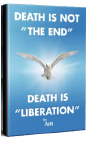 img32.png