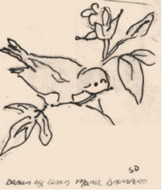 img11.png