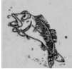 img13.png