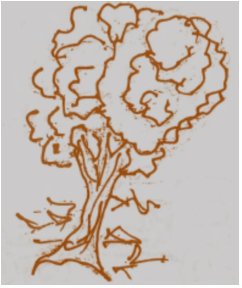 img7.png