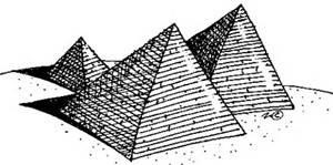 img12.jpg