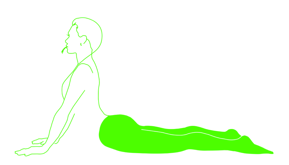 Cobra_pose.jpg