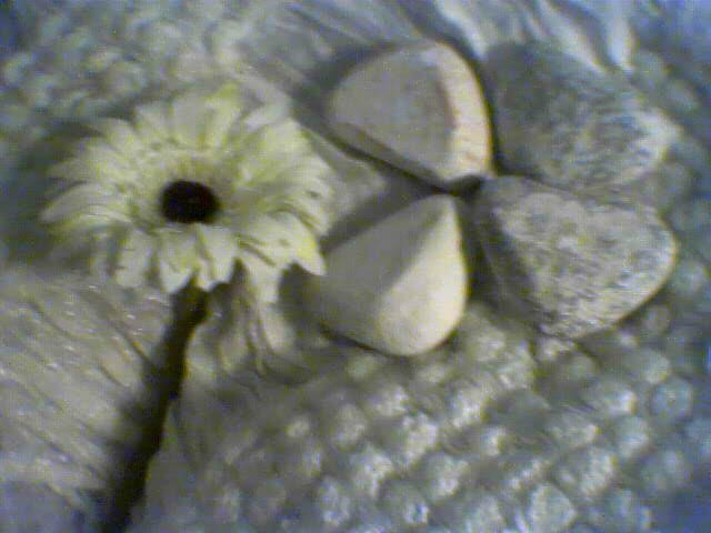 img13.jpg