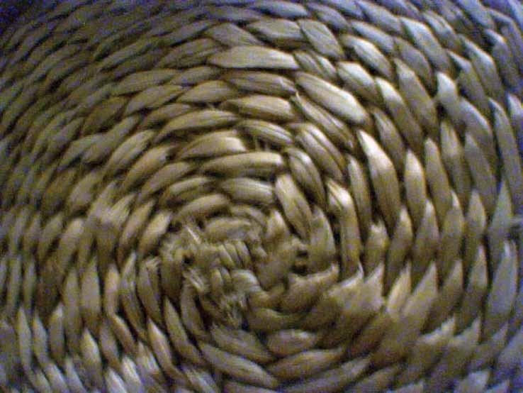 img15.jpg