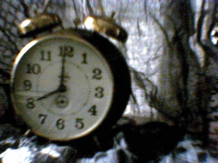 img16.jpg