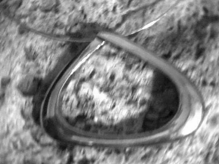 img17.jpg