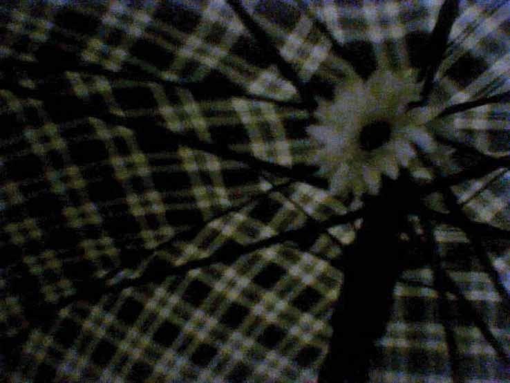 img18.jpg