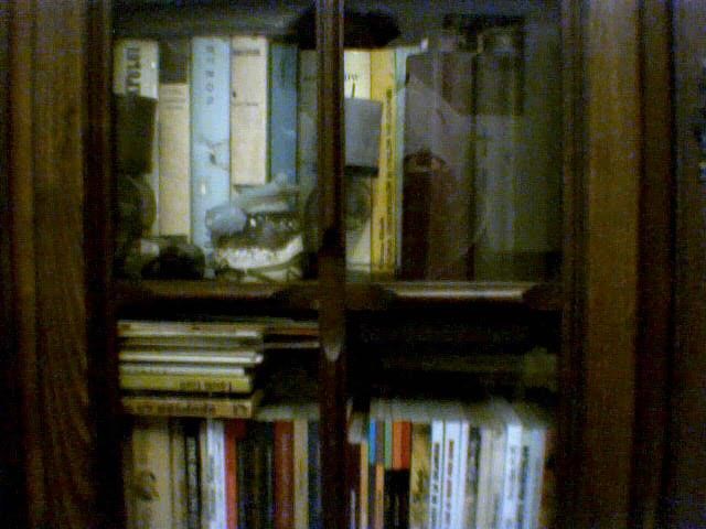 img2.jpg