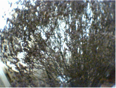 img20.png