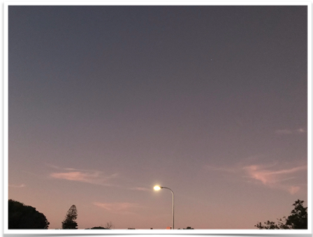 img11.png
