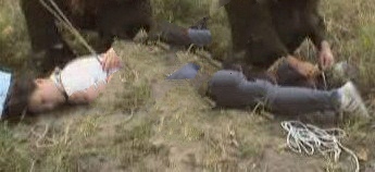 img3.jpg