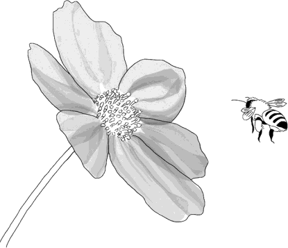 img6.png