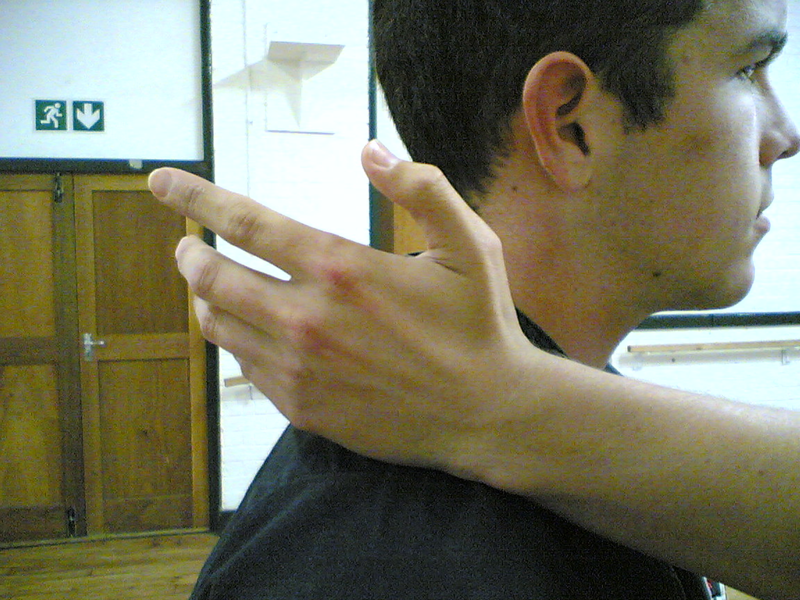 img12.jpg