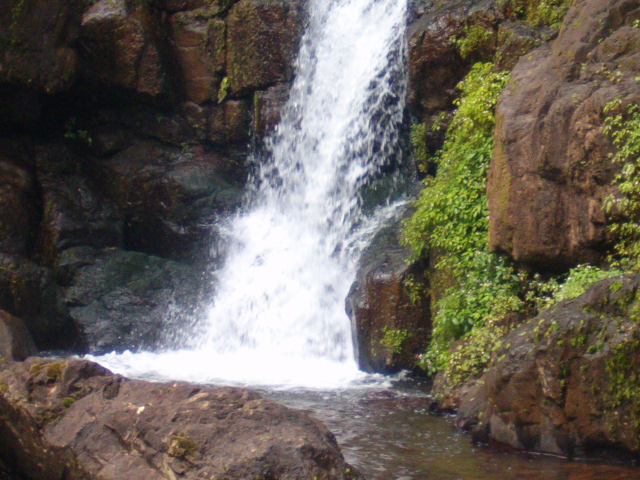 img14.jpg