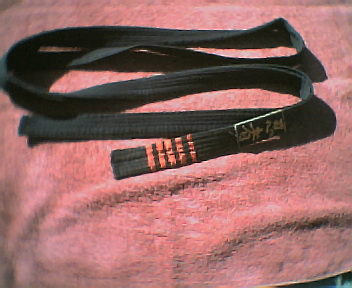 img244.jpg
