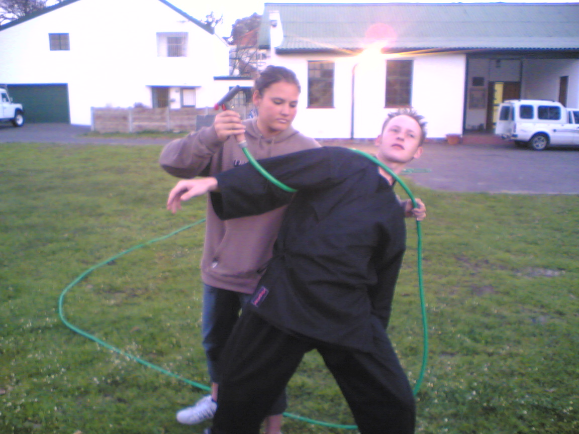 img249.jpg