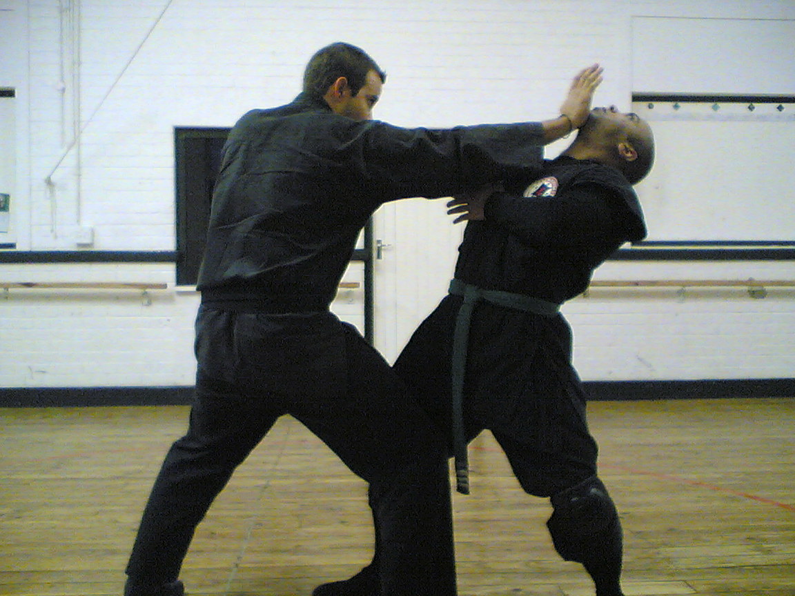 img40.jpg