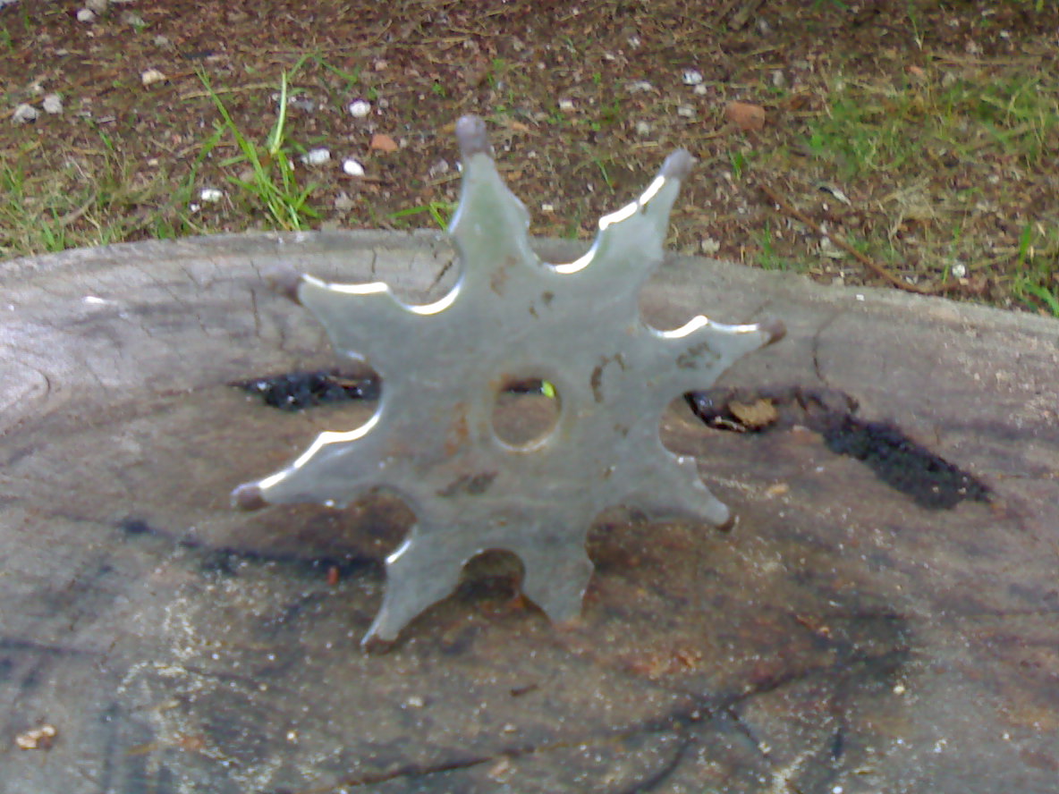 img401.jpg