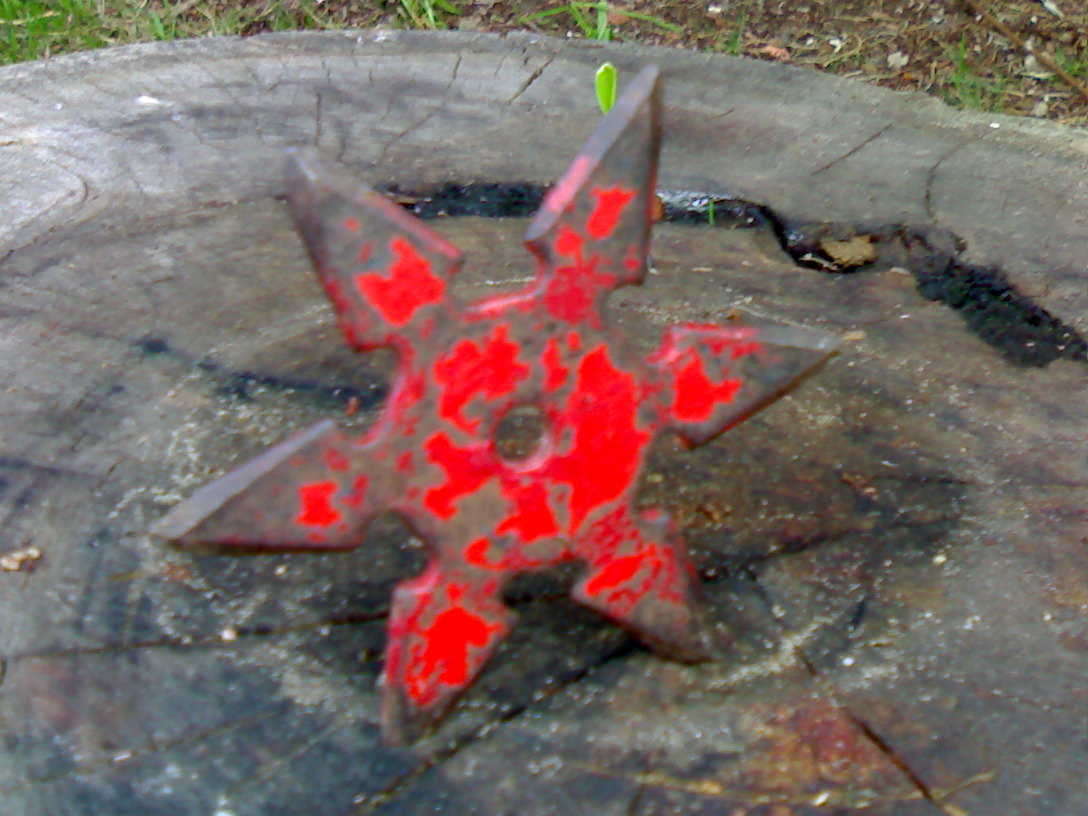 img403.jpg