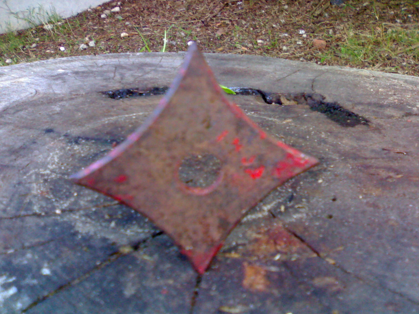 img406.jpg