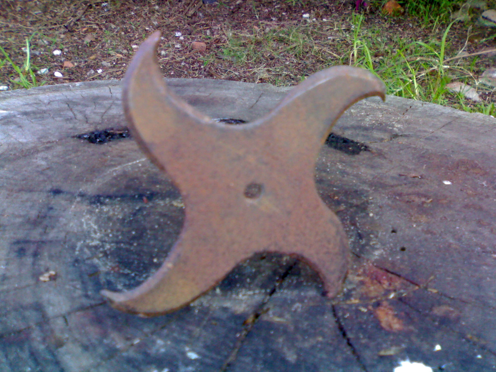 img407.jpg