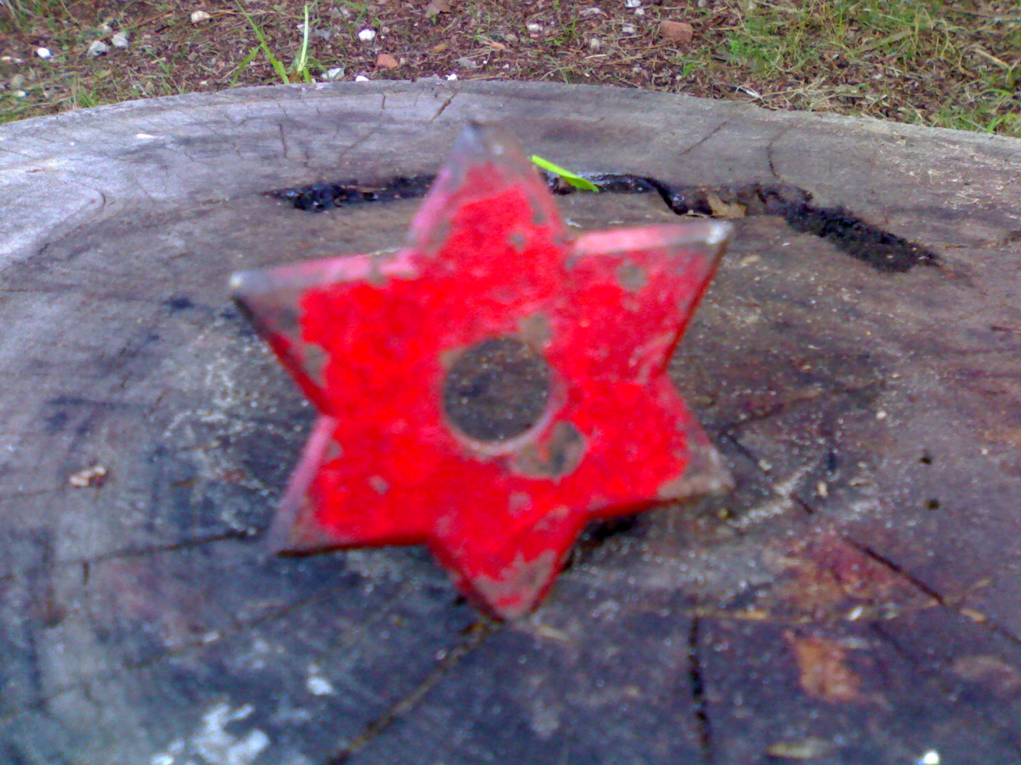 img408.jpg
