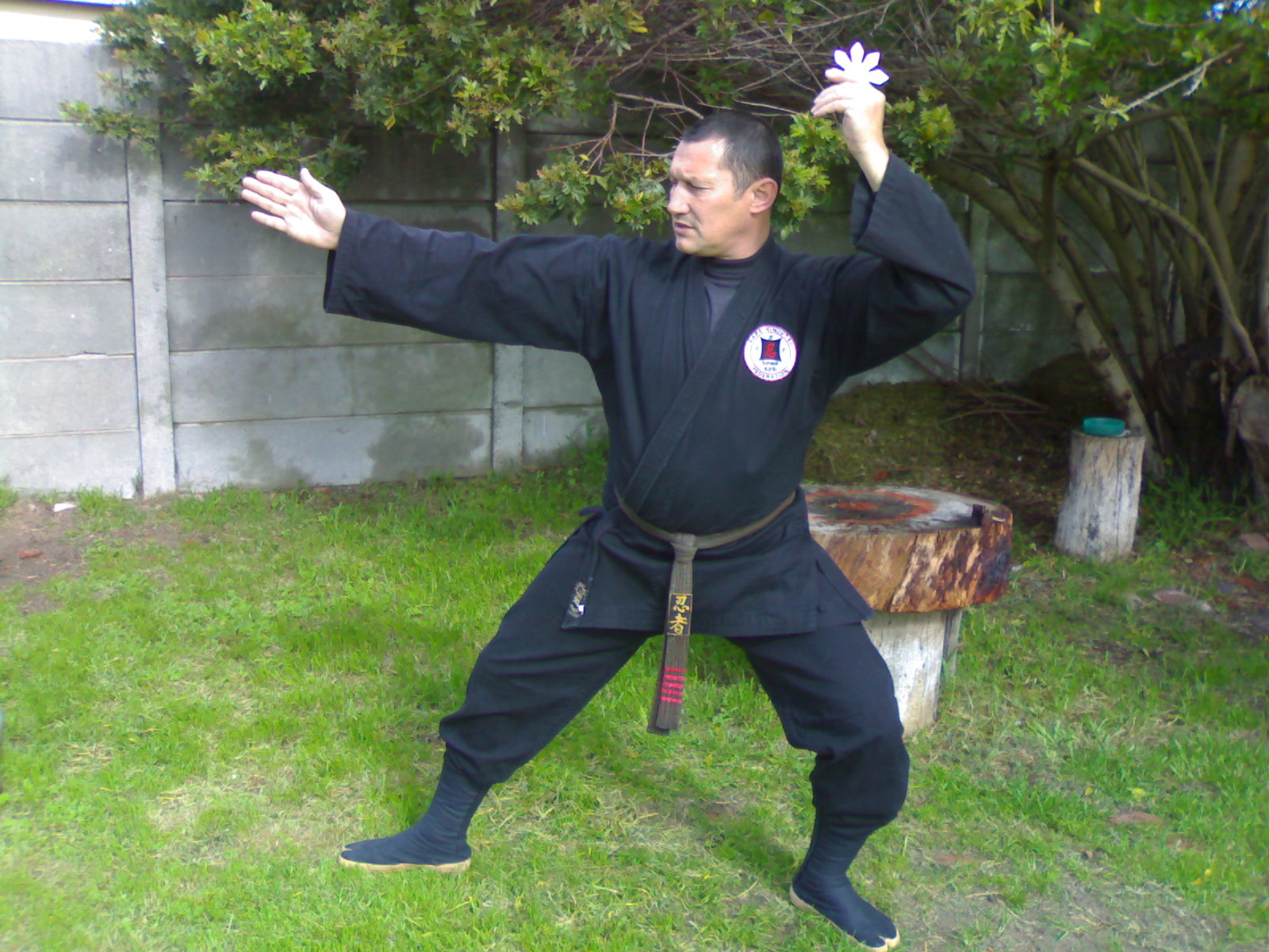 img412.jpg