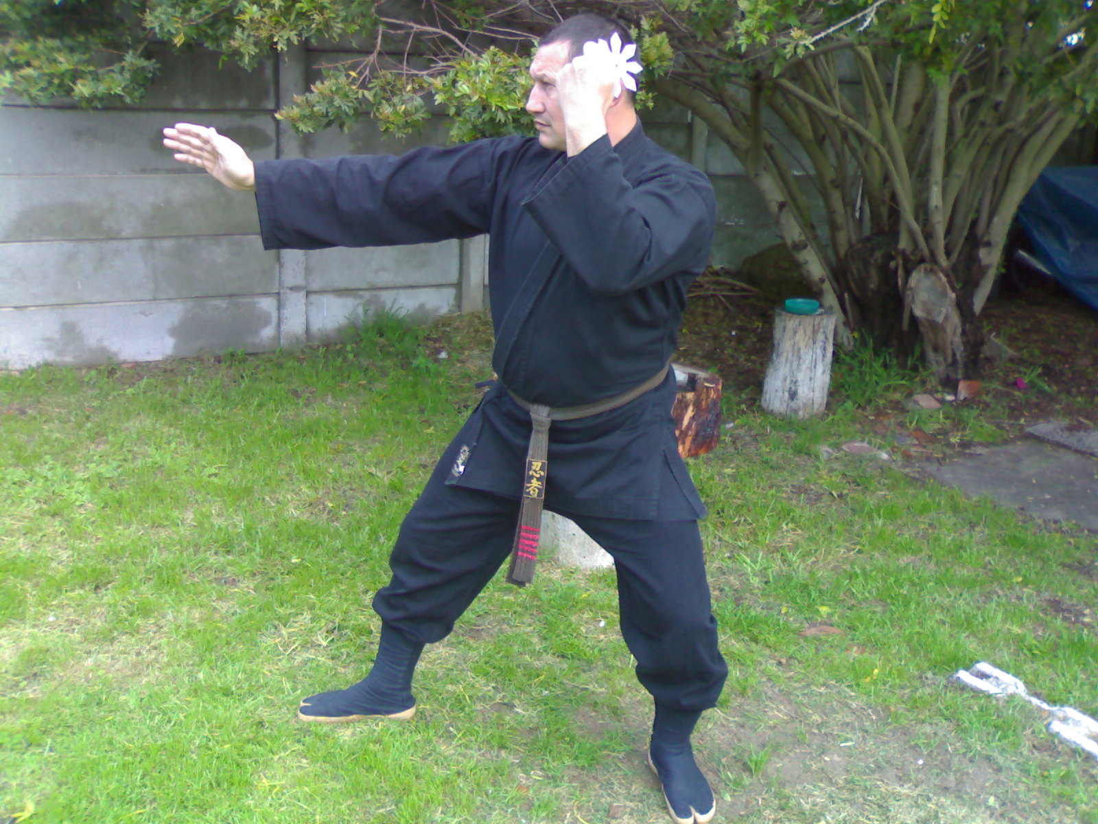 img413.jpg