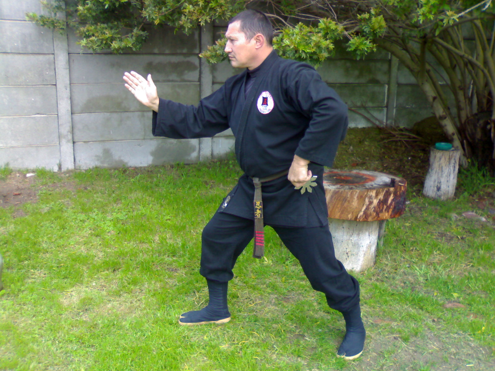 img415.jpg