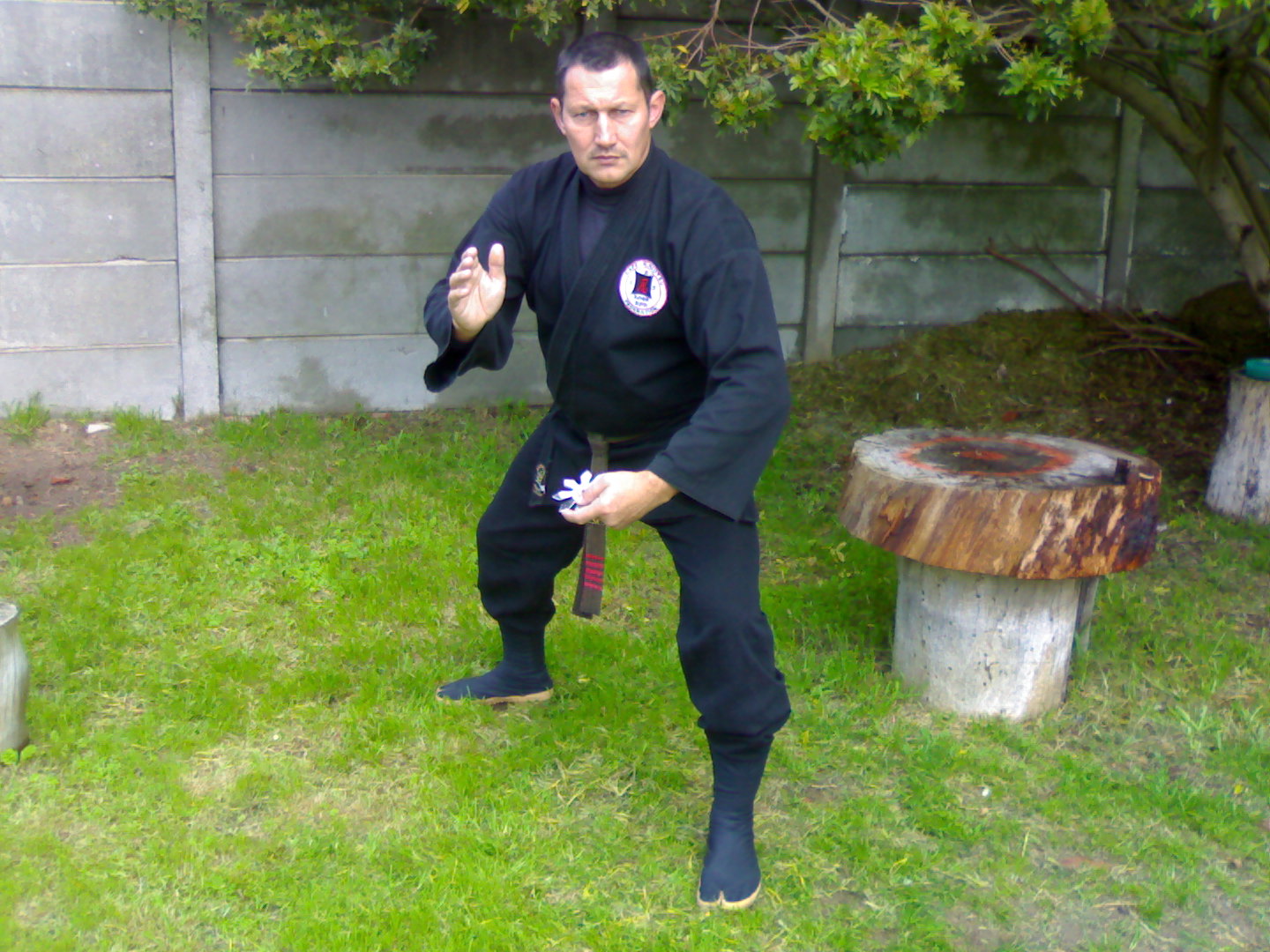 img416.jpg