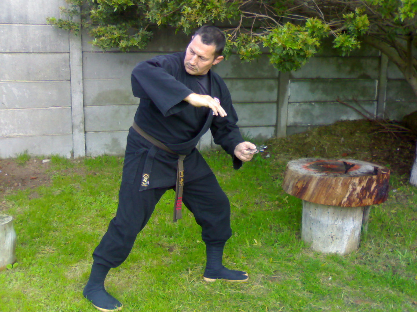 img418.jpg