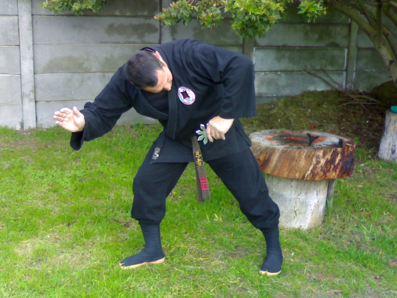 img419.jpg