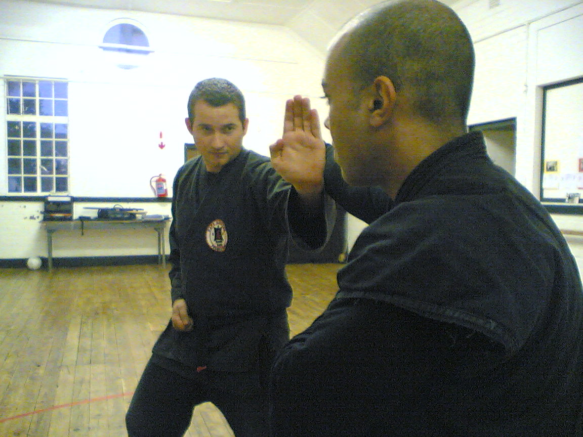 img42.jpg