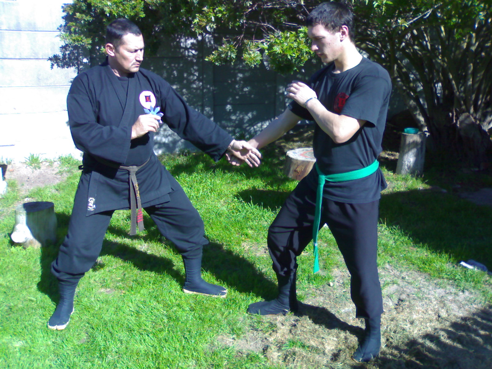 img425.jpg