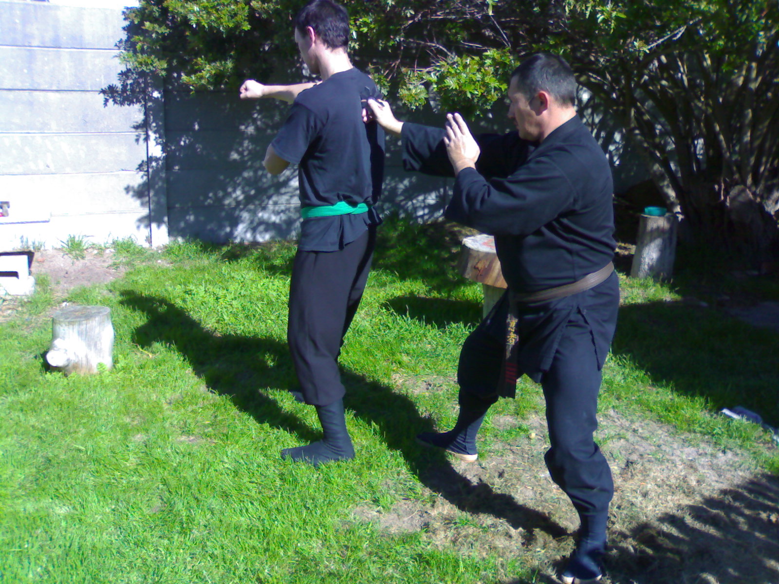 img427.jpg