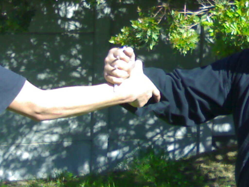 img431.jpg
