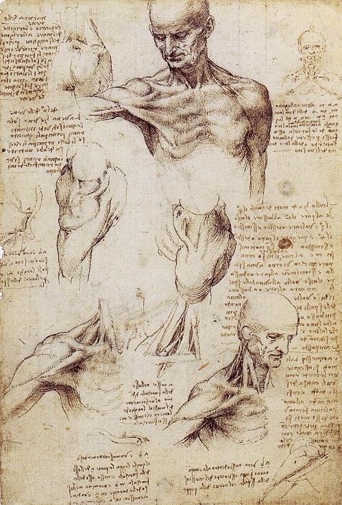 Image 17