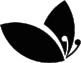 img7.png