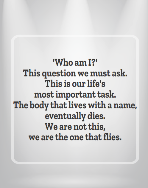 img10.png