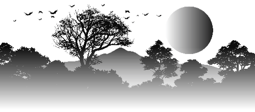 img20.png