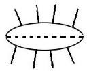 img1.jpg