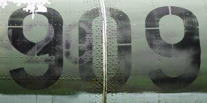img10.jpg