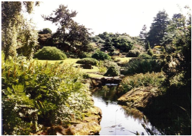 img15.png