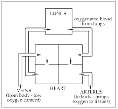 img2.png