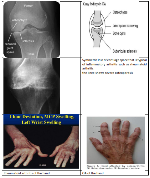img51.png