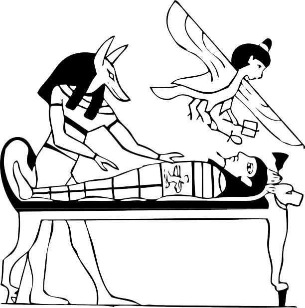 img12.jpg